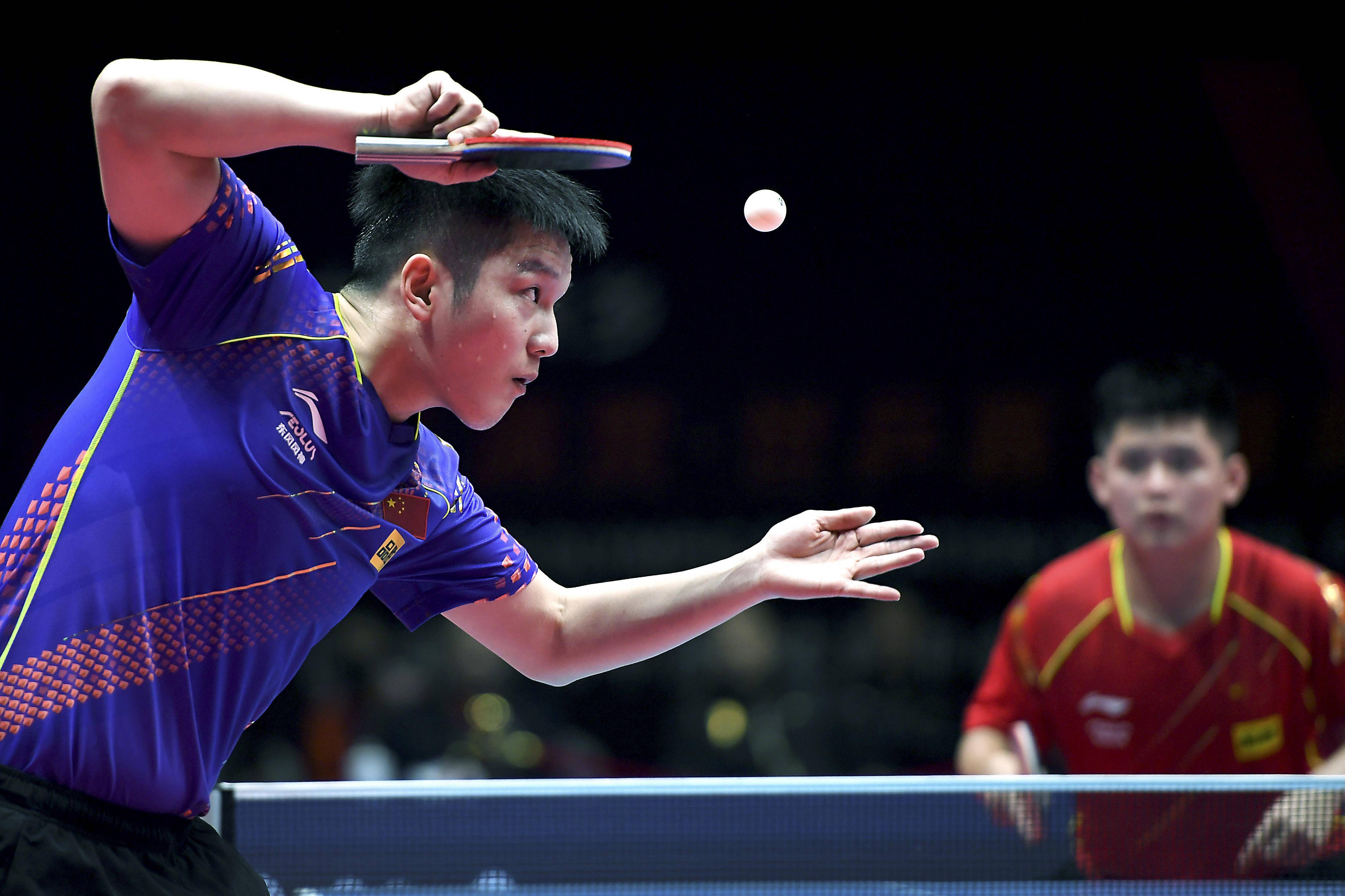 本智和的妹 本智和的妹